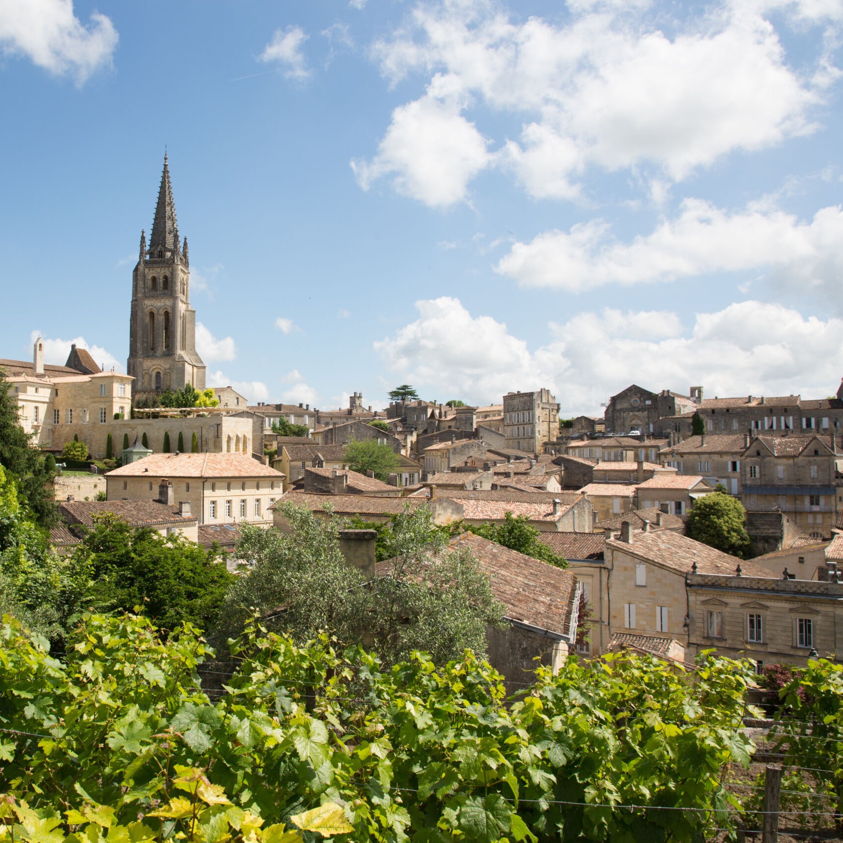 saint emilion tour from bordeaux